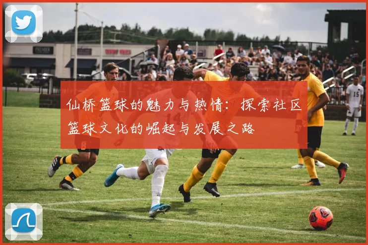 仙桥篮球的魅力与热情：探索社区篮球文化的崛起与发展之路