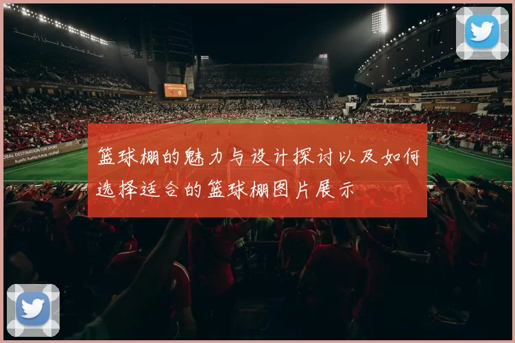 篮球棚的魅力与设计探讨以及如何选择适合的篮球棚图片展示