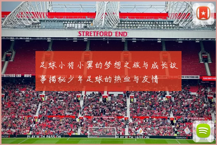 足球小将小翼的梦想之旅与成长故事揭秘少年足球的热血与友情